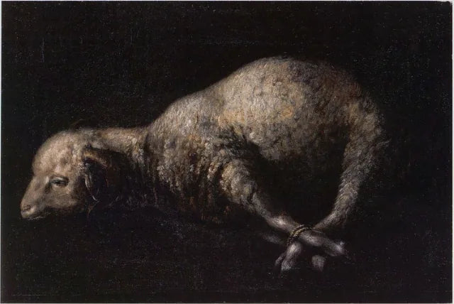 Bélier med fötterna bundna - Francisco de Zurbarán
