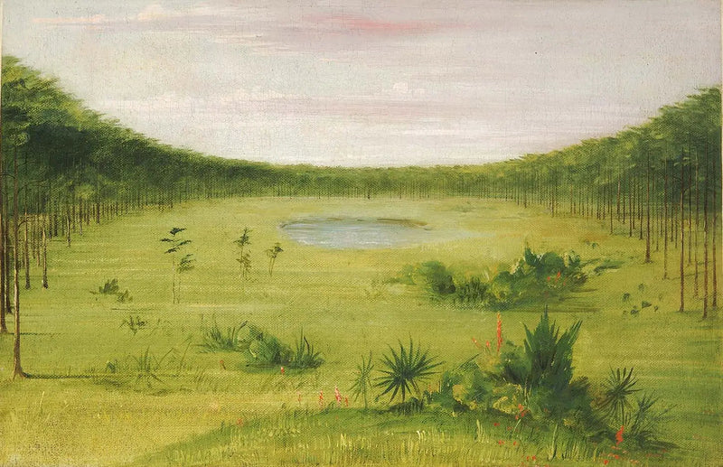 Vacker savann i pinjeskogen i Florida - George Catlin