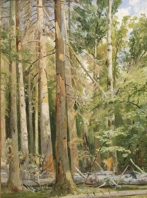 Belovezh - Ivan Chichkine - Alpha Reproduction