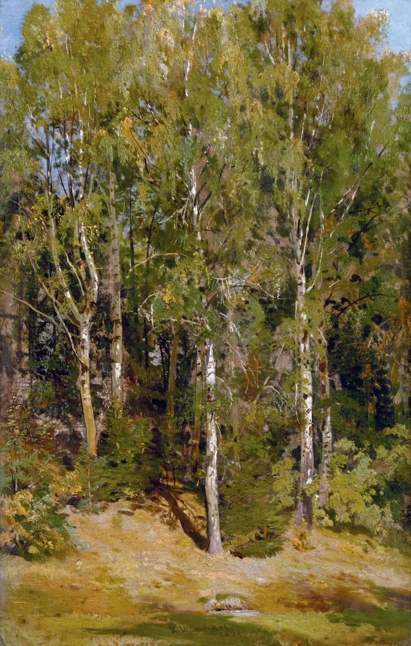 Björkskogen - Ivan Chichkine