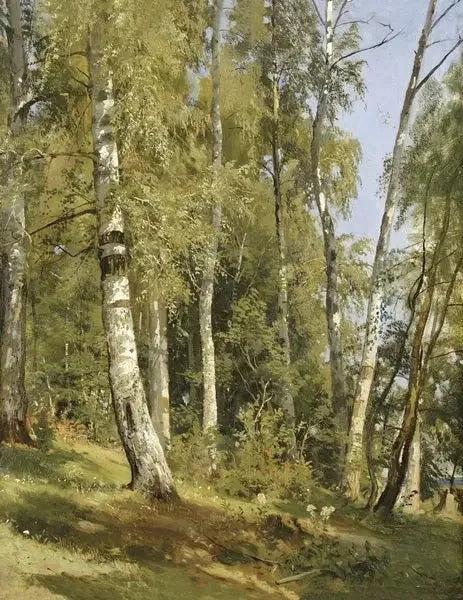 Björkskogen - Ivan Chichkine
