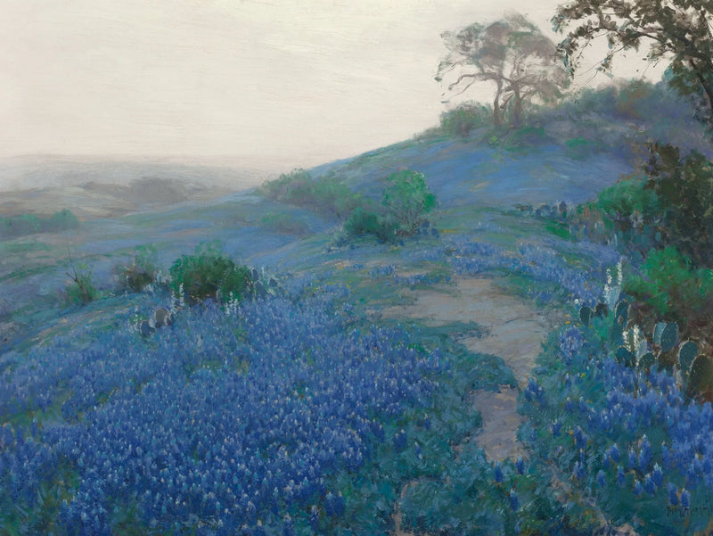 Blue Bonnet Field, tidigt på morgonen, San Antonio, Texas - Julian Onderdonk