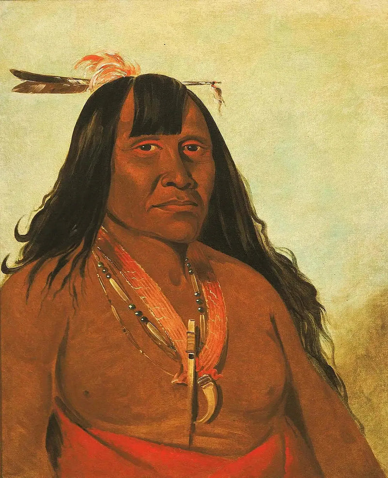 Bón-són-gee, New Fire, en bandledare - George Catlin