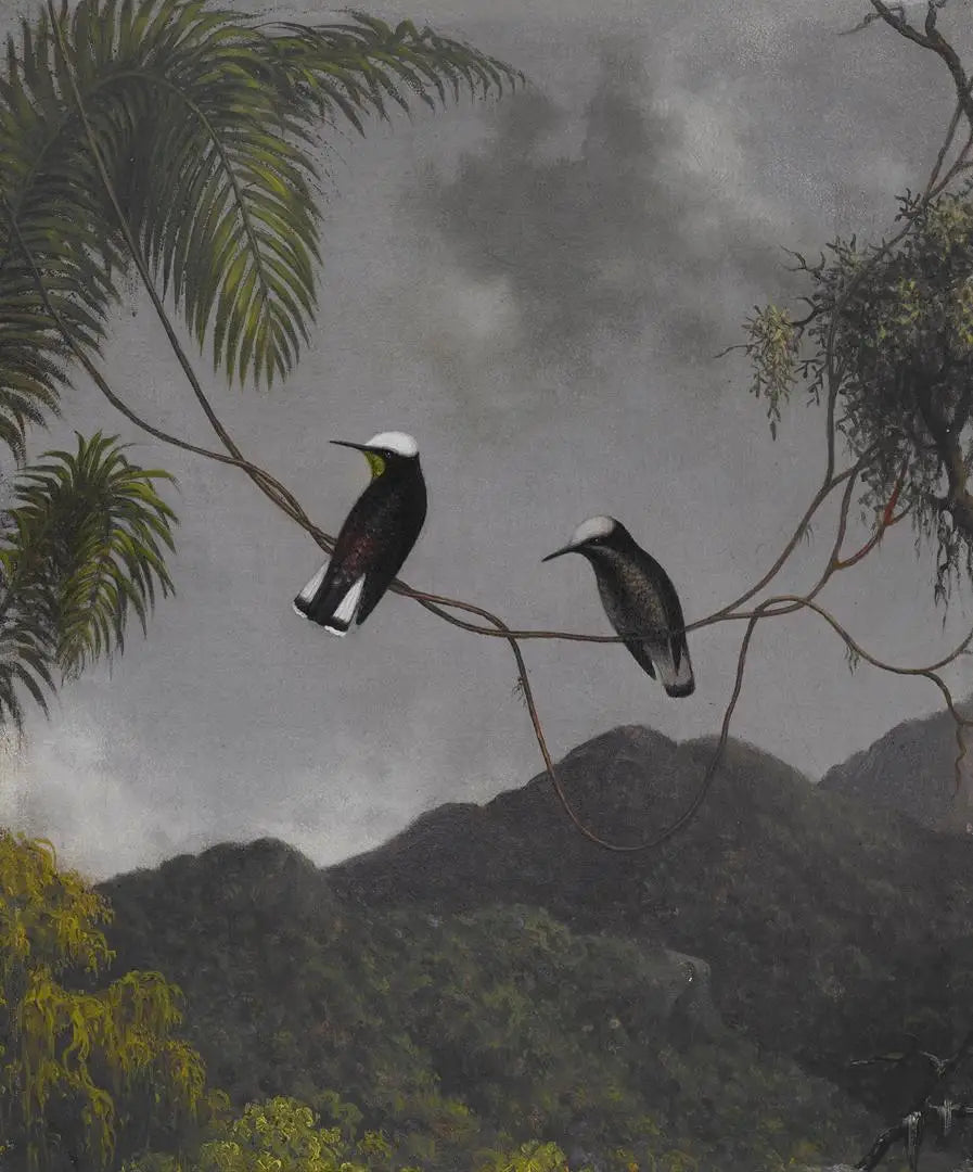 Snöhuva - Martin Johnson Heade