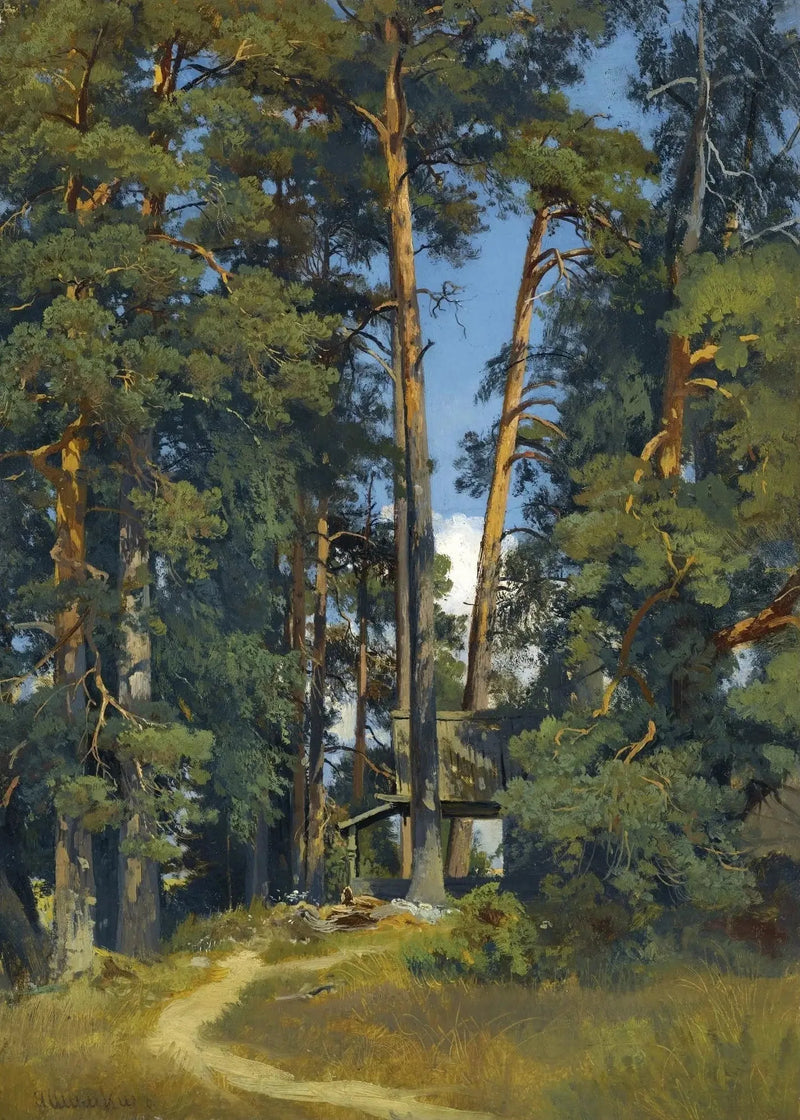 Skogsboskog - Ivan Chichkine