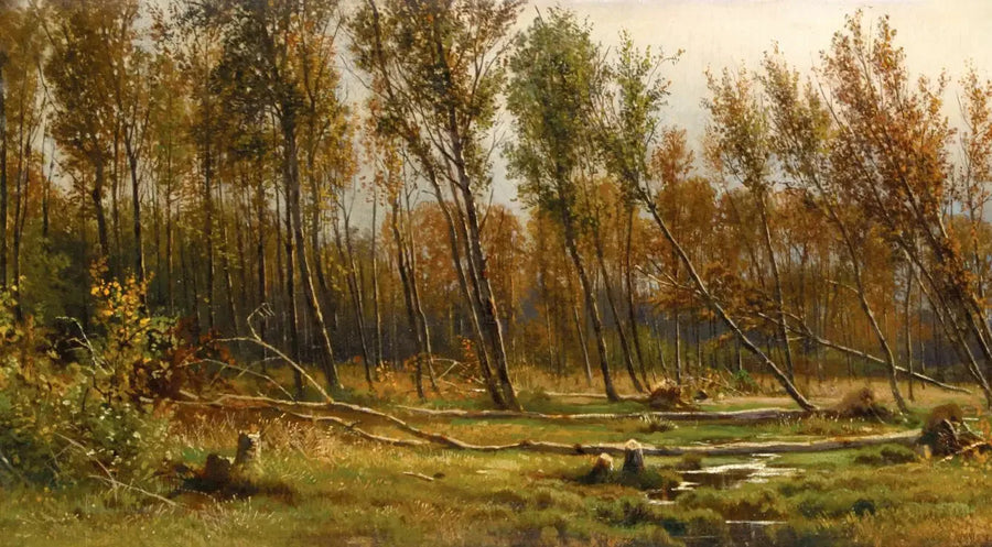 Bouleaux efter stormen - Ivan Chichkine