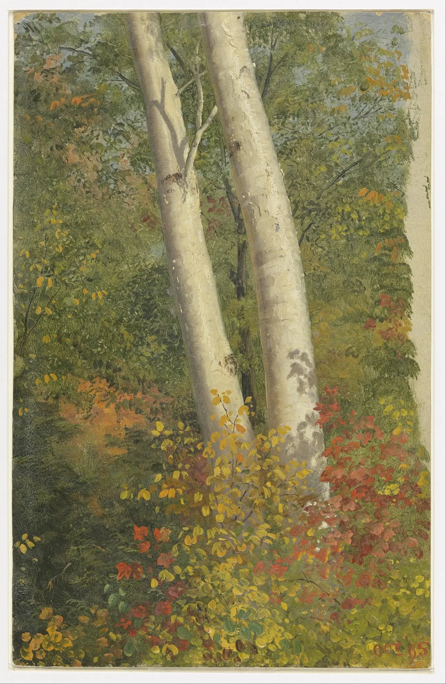 Bouleaux på hösten - Frederic Edwin Church
