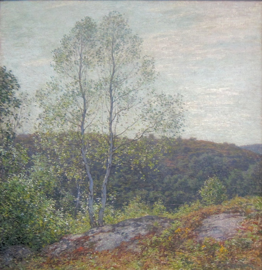 Tvillingbjörkar - Willard Metcalf