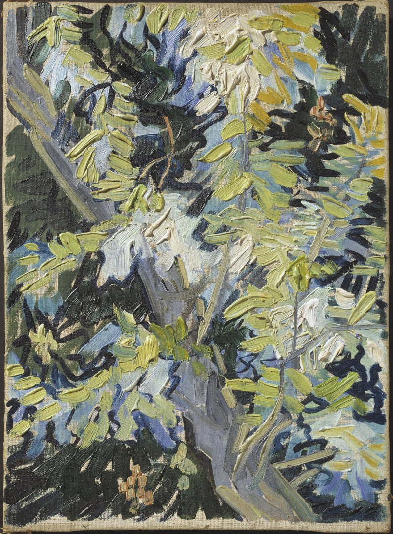 Blommande akaciagrenar - Vincent van Gogh