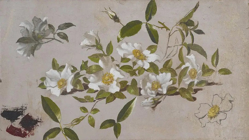 Cherokee-rosenbuskar - Martin Johnson Heade