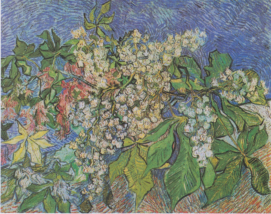 Blommande kastanjgrenar - Vincent van Gogh