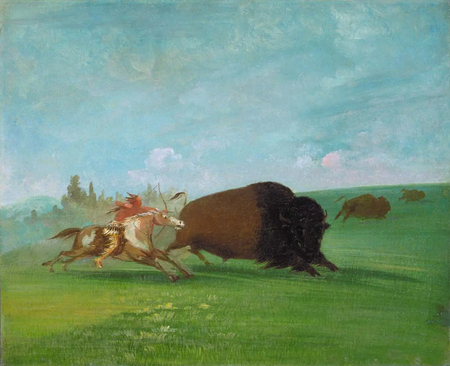 Buffalo Chase, en enda död - George Catlin
