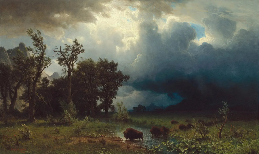 Buffalo Trail: den förestående stormen - Albert Bierstadt