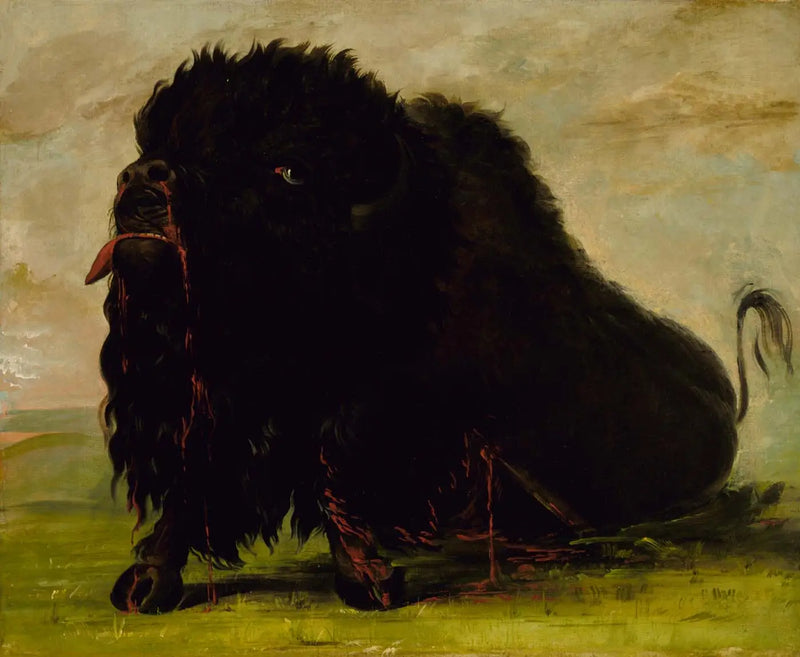 Döende buffel, träffad av en pil - George Catlin