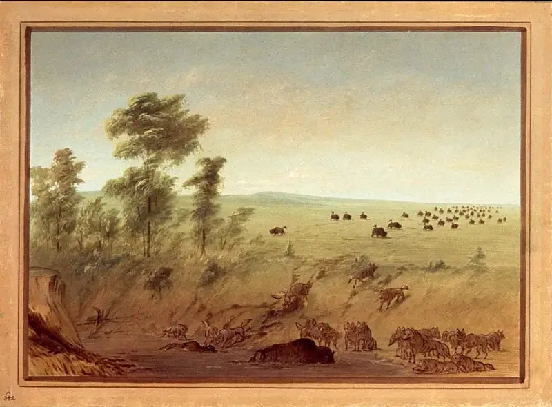 Bufflar och vargar fastfrusna - George Catlin