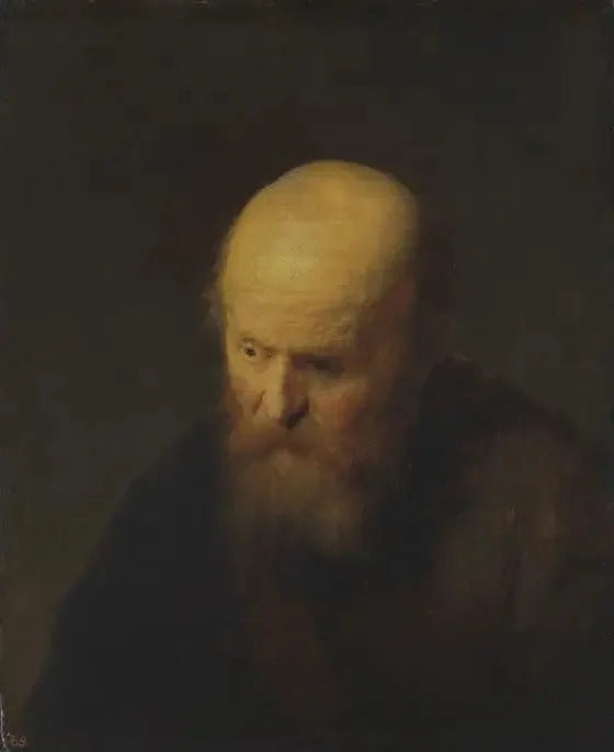 Byst av en gammal man med skallig huvud - Rembrandt
