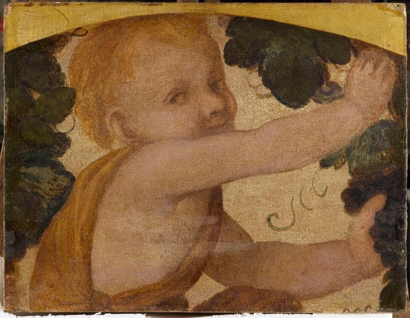 Putto-byst i vinrankor - Bernardino Luini