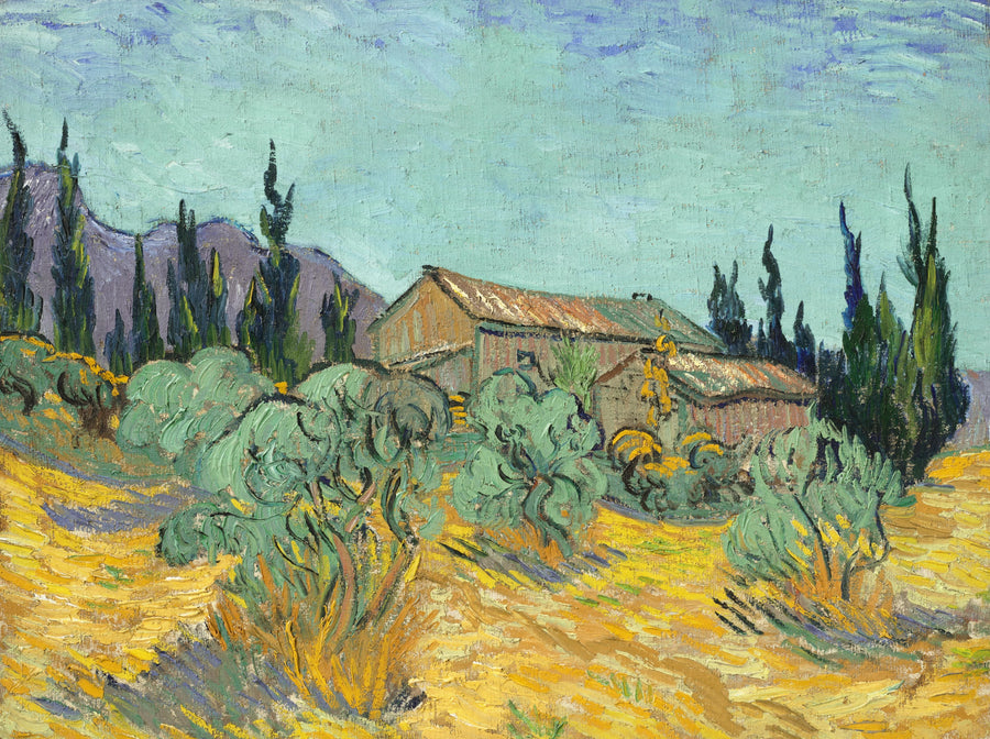 Trähus bland olivträd och cypresser - Vincent van Gogh