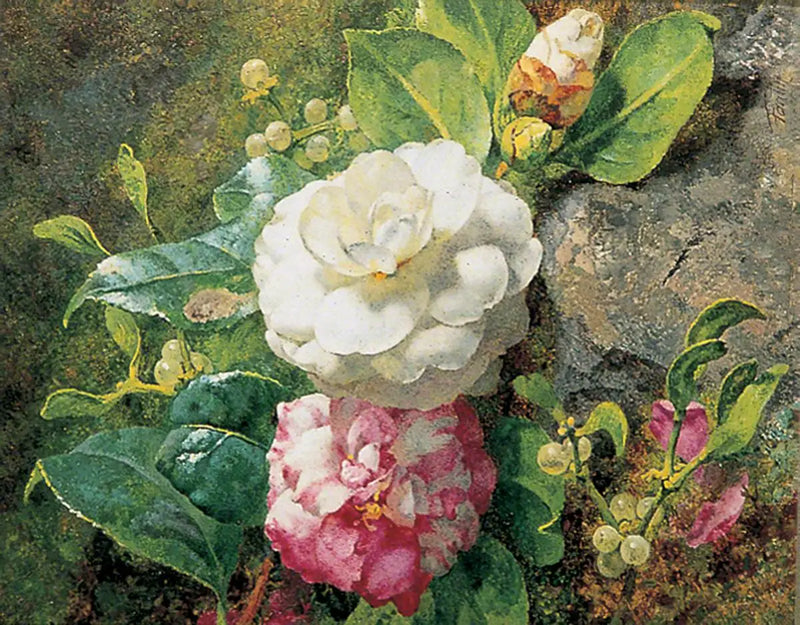 Kamelior - Henri Fantin-Latour