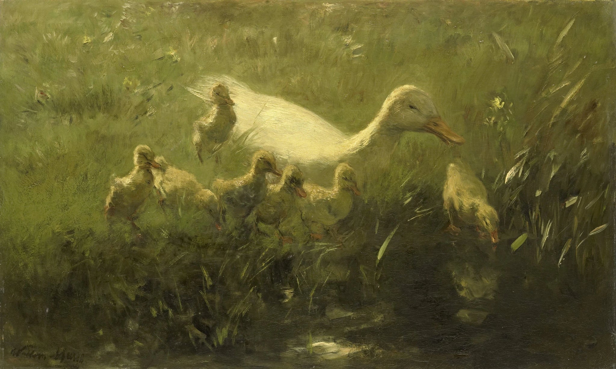 Canard blanc aux poussins - Willem Maris