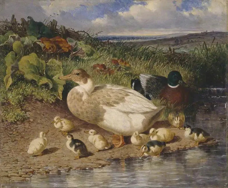 Ankor vid en bäck - John Frederick Herring, Sr.