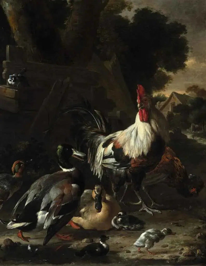 Ankor, höns och andra fjäderfä i en gård - Melchior de Hondecoeter