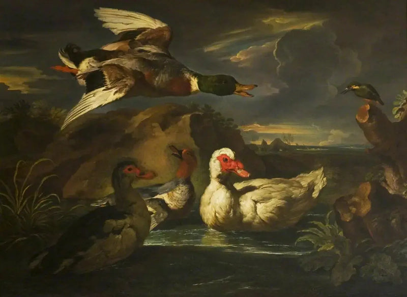 Vilda ankor med fiskgjuse - Melchior de Hondecoeter