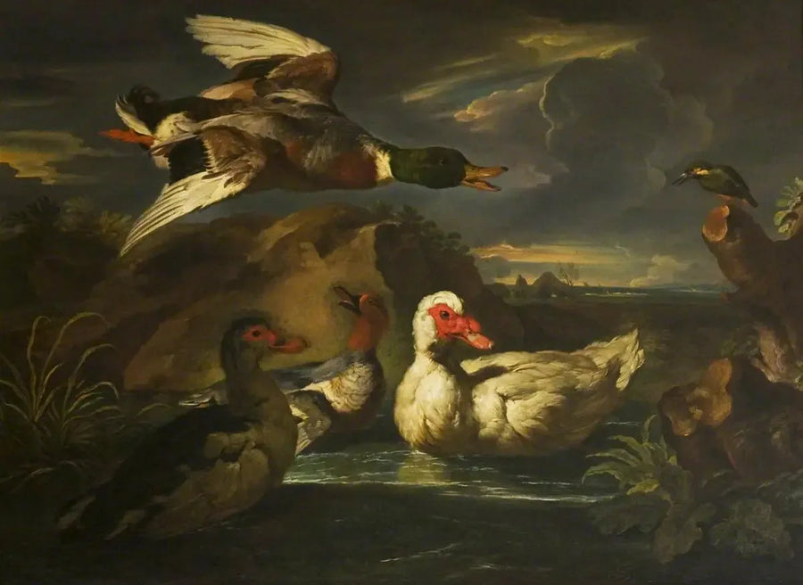 Vilda ankor med fiskgjuse - Melchior de Hondecoeter