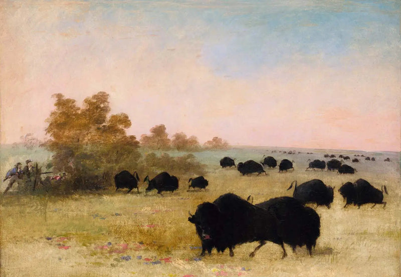 Catlin och Party Stalking Buffalo, Haut-Missouri - George Catlin