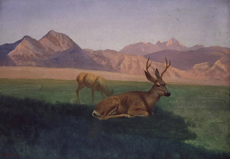 Gäss - Albert Bierstadt
