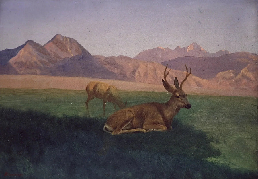 Gäss - Albert Bierstadt