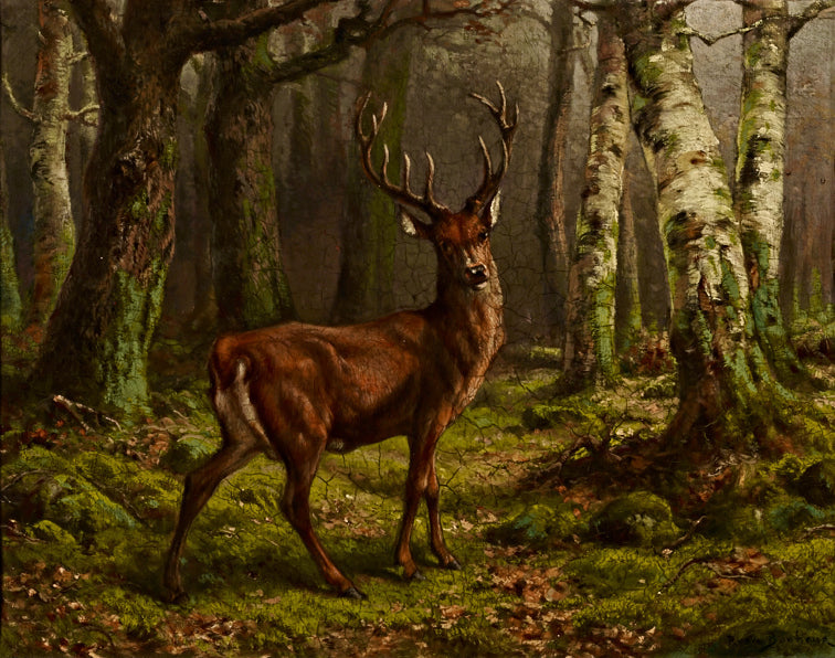 Cerf dans les bois - Rosa Bonheur