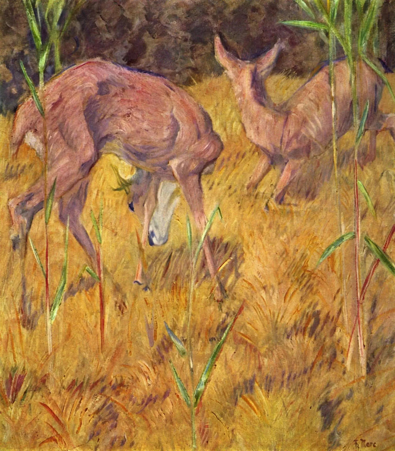 Hjort i vass - Franz Marc
