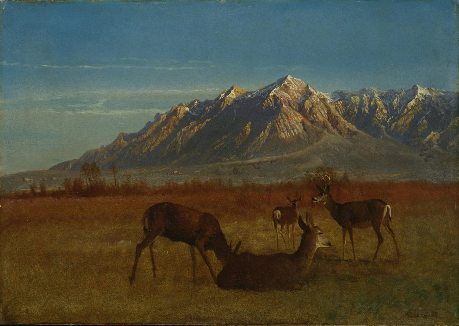 Kråka i ett bergshus - Albert Bierstadt