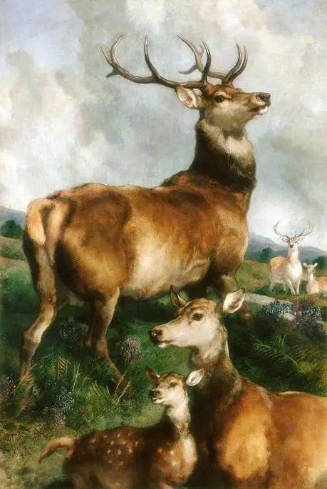 Hjortar i Chillingham-parken, Northumberland - Edwin Henry Landseer
