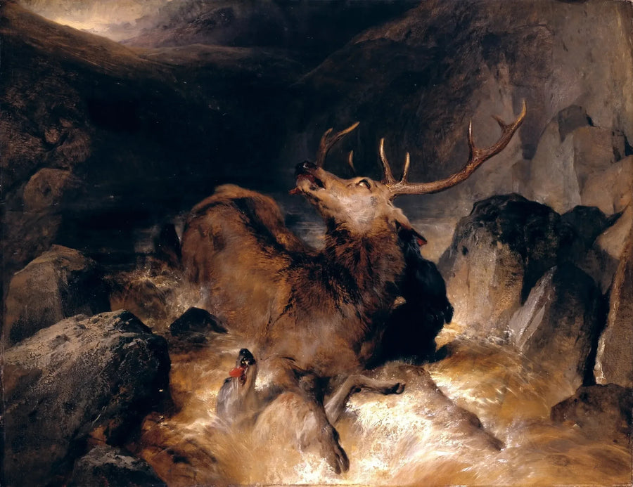 Hjortar och jakt hundar i en bergsflod - Edwin Henry Landseer