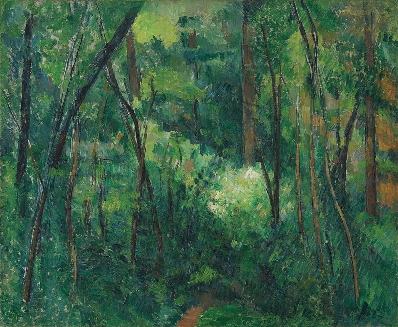 Undervegetation - Paul Cézanne