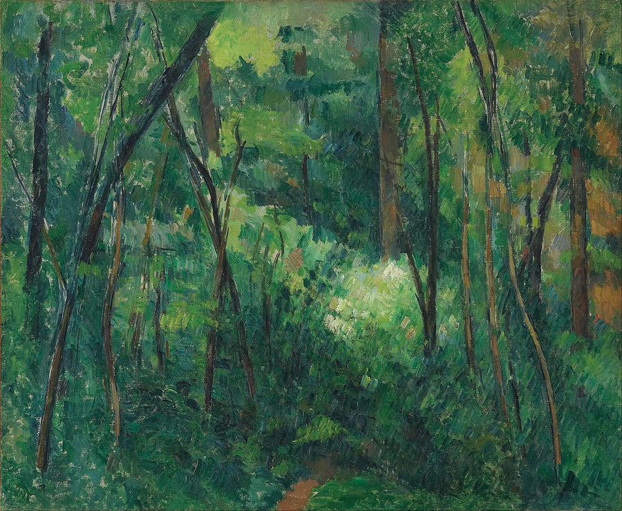 Undervegetation - Paul Cézanne