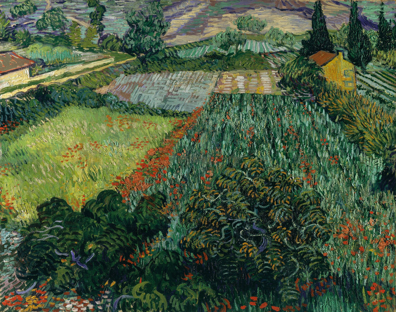 Fält av vallmo - Vincent van Gogh