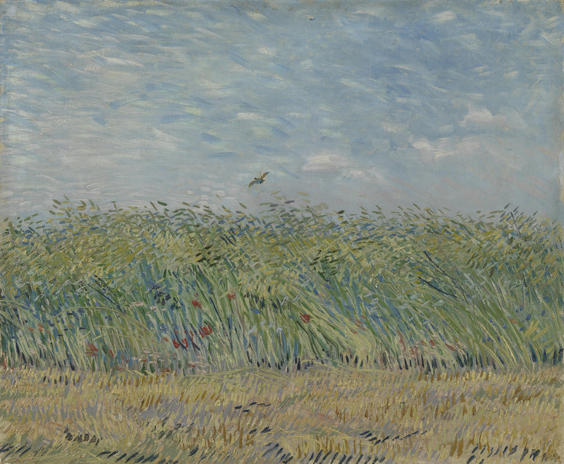 Vetefält med lärka - Vincent van Gogh