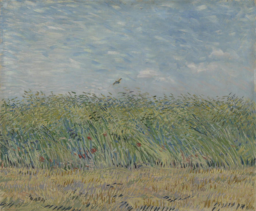 Vetefält med lärka - Vincent van Gogh