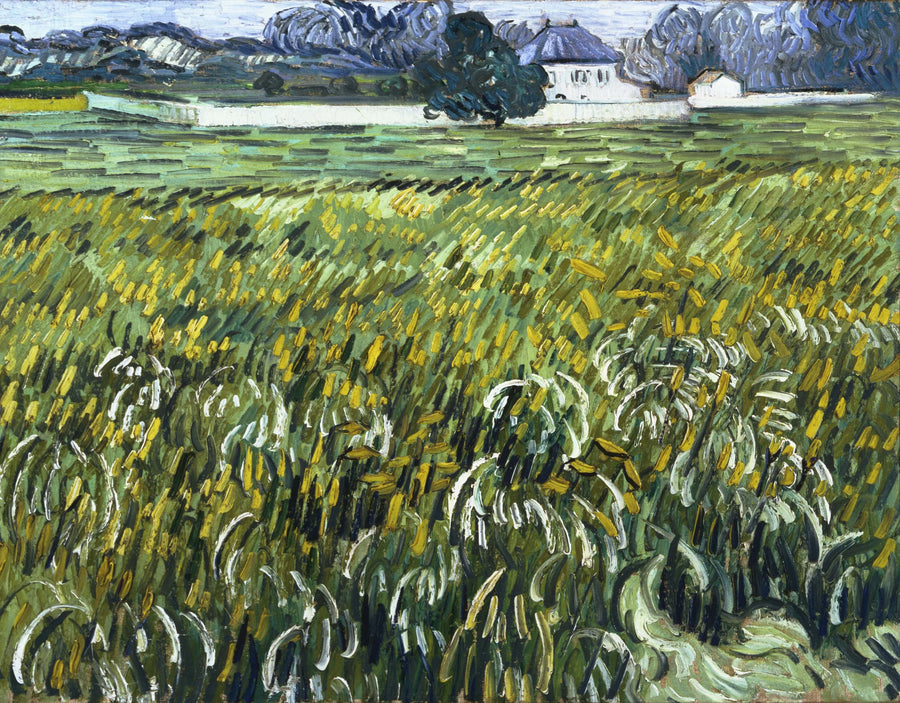 Veteåker i Auvers med hus - Vincent van Gogh