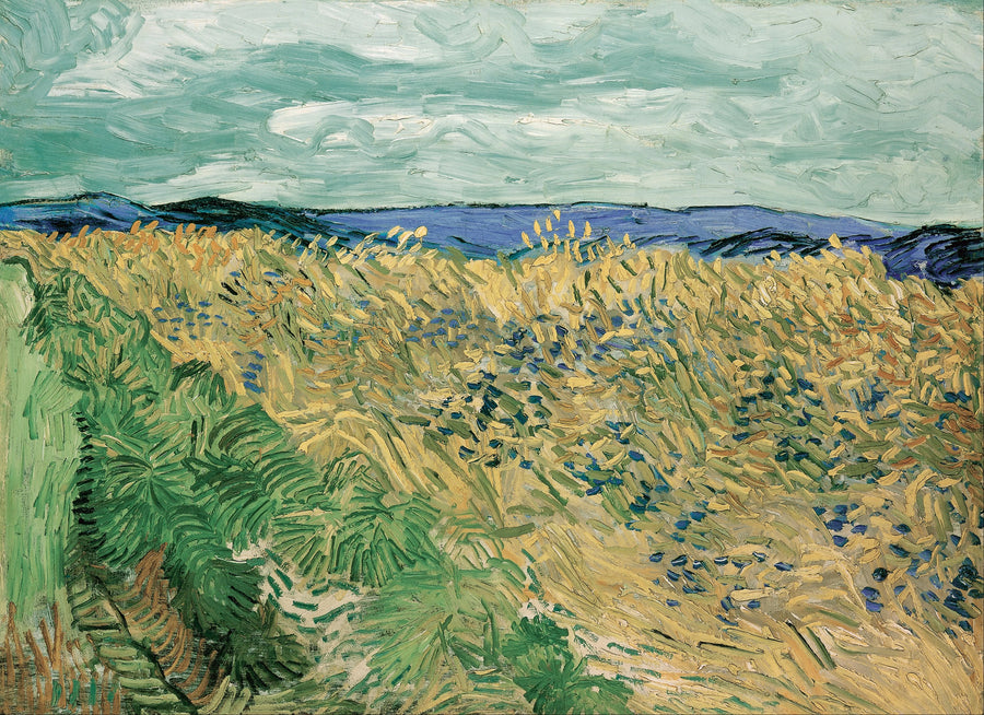 Vetefält med blåklintar - Vincent van Gogh