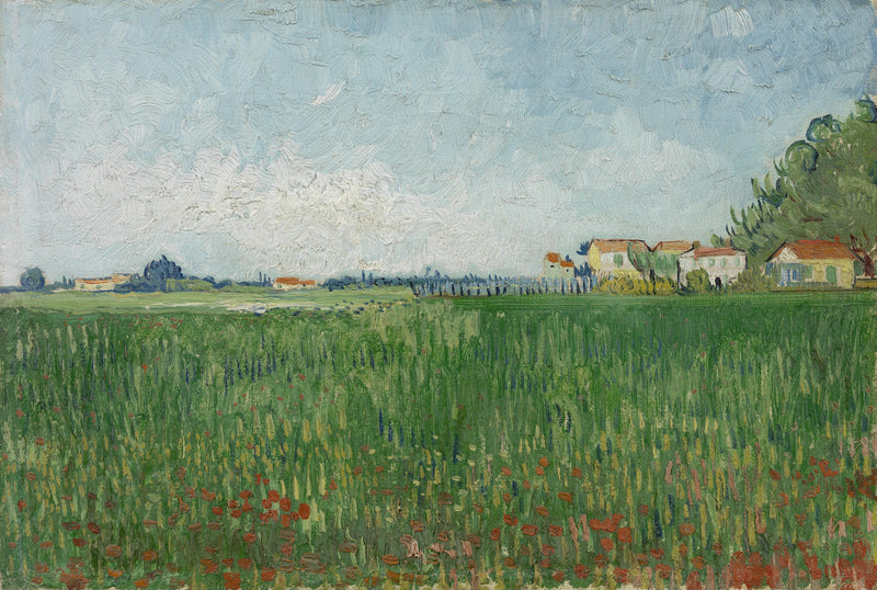 Fält av vallmo - Vincent van Gogh