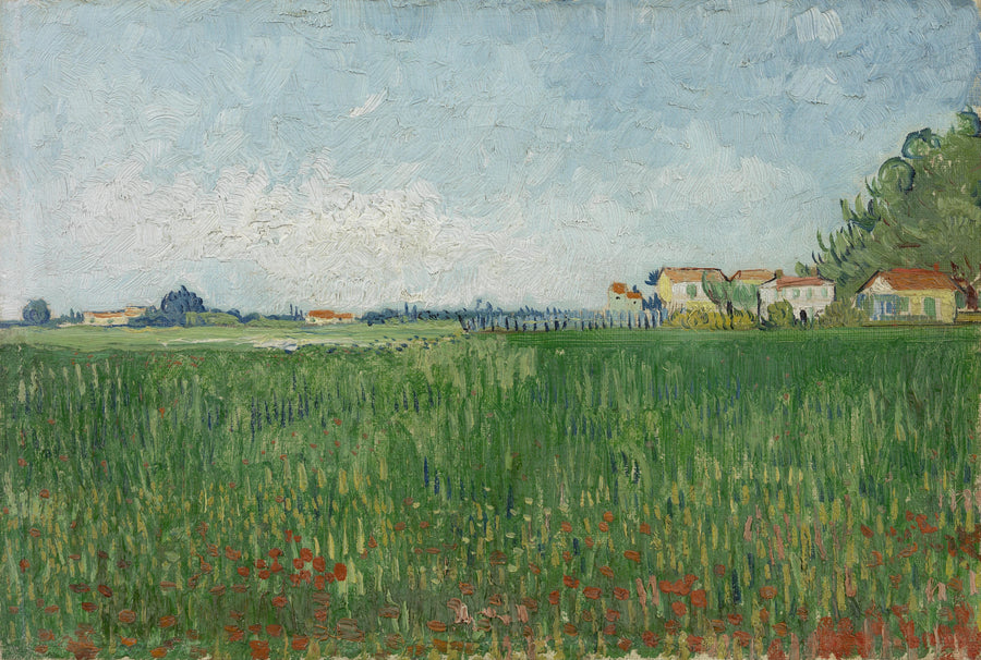 Fält av vallmo - Vincent van Gogh