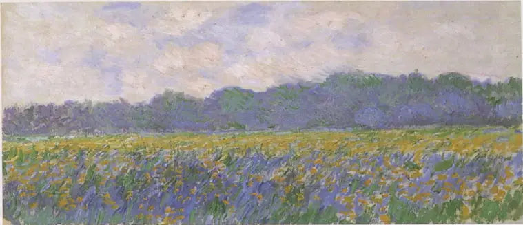 Fält av gula iris i Giverny - Claude Monet