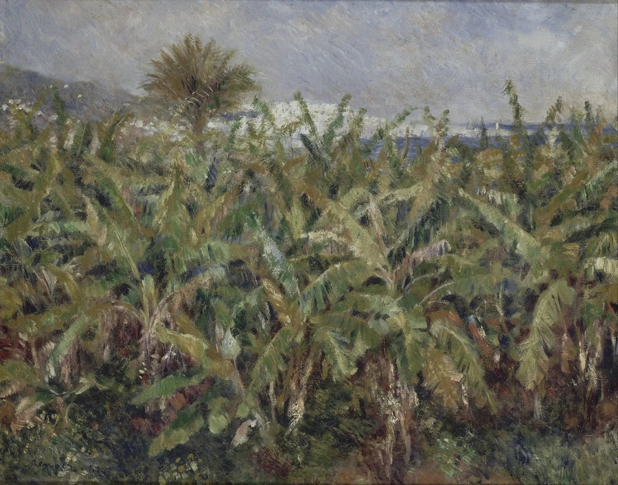 bananfält - Pierre-Auguste Renoir