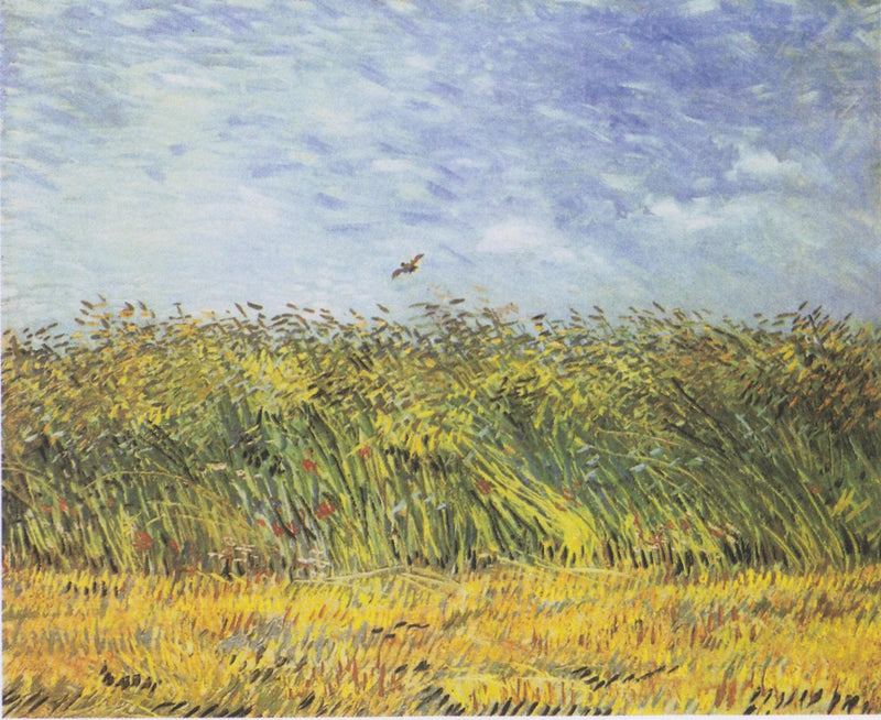 Vetefält med lärka - Vincent van Gogh