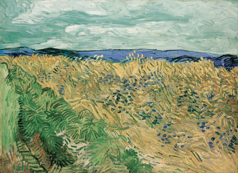 Vetefält med blåklintar - Vincent van Gogh
