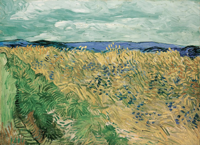 Vetefält med blåklintar - Vincent van Gogh